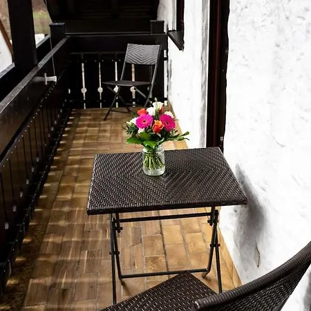 Rebis Ferienwohnung Oppenau
